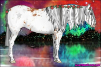 Horse Color:Bay Sabino 