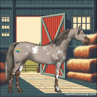 Horse Color:White Spotted Liver Red Dun Mushroom