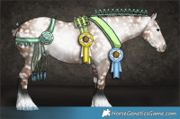 Horse Color:Gray Black Pearl Appaloosa  and Gray Black Pearl Appaloosa