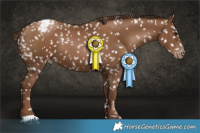 Horse Color:Gray Black Pearl Snowcap  and Gray Black Pearl Snowcap 