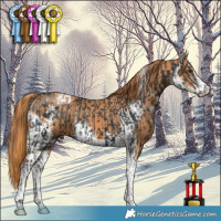 Horse Color:Liver Chestnut Sabino Tobiano  and Chestnut Sabino 