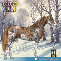 Horse Color:Liver Chestnut Sabino Tobiano  and Chestnut Sabino 