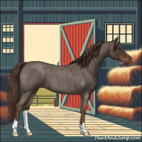 Horse Color:Liver Red Roan 