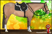 Horse Color:Sable Champagne 