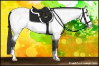 Horse Color:Buckskin Chinchilla Sabino 