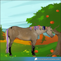Horse Color:Void Painted Silver Buckskin Dun Tobiano Rabicano