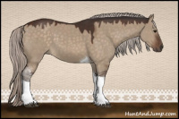 Horse Color:Silver Brown Dun Sabino Tobiano 