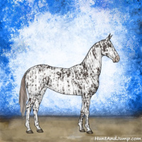 Horse Color:Liver Chestnut and Liver Red Dun Roan Appaloosa Rabicano Brindle