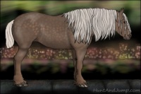 Horse Color:Silver Black 