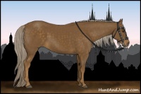Horse Color:Chocolate Palomino 