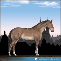 Horse Color:Liver Red Dun Tobiano