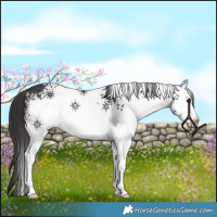 Horse Color:Platinum White Spotted Smoky Black Rabicano 