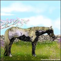 Horse Color:Void Watercolor Plaid  White Spotted Liver Red Dun Onyx Splash Tobiano 