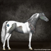 Horse Color:Silver Black Chinchilla Tobiano 