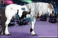 Horse Color:ERROR: UNKNOWN ANOMALY and Buckskin Tobiano Frame