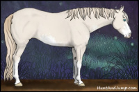 Horse Color:Smoky Creme Dun Sabino 