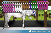 Horse Color:Gray Buckskin 