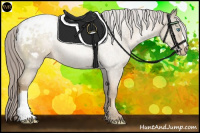 Horse Color:Chocolate Palomino Pearl Appaloosa 