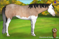 Horse Color:Gray Sable Champagne Roan Splash 