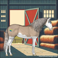 Horse Color:Silver Brown Dun Splash 