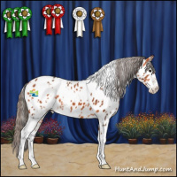 Horse Color:White Spotted Bay Sabino Appaloosa