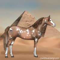 Horse Color:White Spotted Liver Chestnut Pearl Splash 