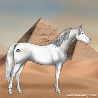 Horse Color:Liver Red Onyx Mushroom Sabino Splash Tobiano 