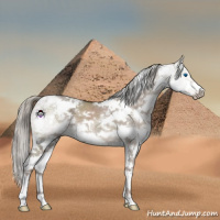 Horse Color:White Spotted Liver Red Dun Ice Mushroom Splash 