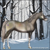Horse Color:Silver Blue Onyx 