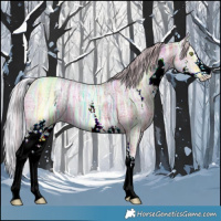 Horse Color:Watercolor Plaid Silver Amber Champagne Ice Dun Sabino