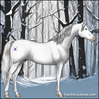 Horse Color:Watercolor Plaid  Silver Amber Champagne Ice Dun Sabino Splash Appaloosa 
