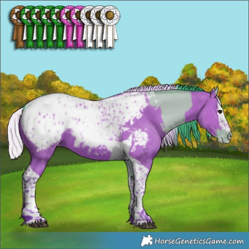 Horse Color:Watercolor Bay Dun Splash Tobiano Appaloosa  and Watercolor Silver Bay Splash Tobiano Appaloosa 