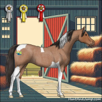 Horse Color:Bay Roan Tobiano 