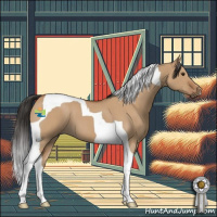 Horse Color:Bay Roan Dun Tobiano 