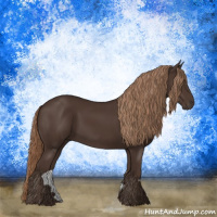 Horse Color:Liver Chestnut Rabicano 