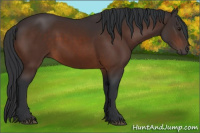 Horse Color:Brown 
