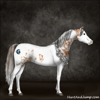 Horse Color:Bay Splash Tobiano Near Leopard  and Bay Splash Tobiano Near Leopard 