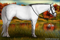 Horse Color:Gray Liver Chestnut