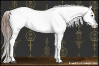 Horse Color:Black Splash Appaloosa  and Bay Splash Appaloosa 