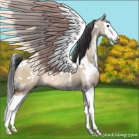 Horse Color:White Spotted Bay Dun Splash