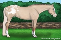 Horse Color:Silver Sable Champagne Dun Sabino Splash Blanket 