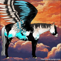 Horse Color:White Spotted Bay Dun Splash Tobiano 