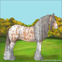Horse Color:Bay Splash Tobiano Appaloosa  and Bay Splash Tobiano Appaloosa 