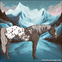 Horse Color:Silver Black Appaloosa 