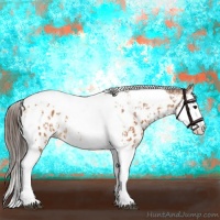 Horse Color:Bay Splash Tobiano Appaloosa  and Bay Splash Tobiano Appaloosa 