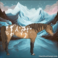 Horse Color:Buckskin Appaloosa
