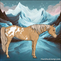 Horse Color:Palomino Appaloosa 