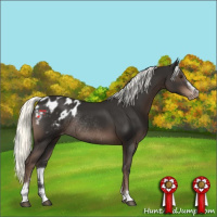 Horse Color:Liver Chestnut Mushroom Sabino Appaloosa Rabicano 