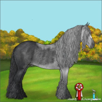 Horse Color:Black Rabicano 