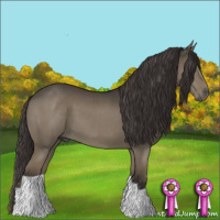 Horse Color:Smoky Grullo 